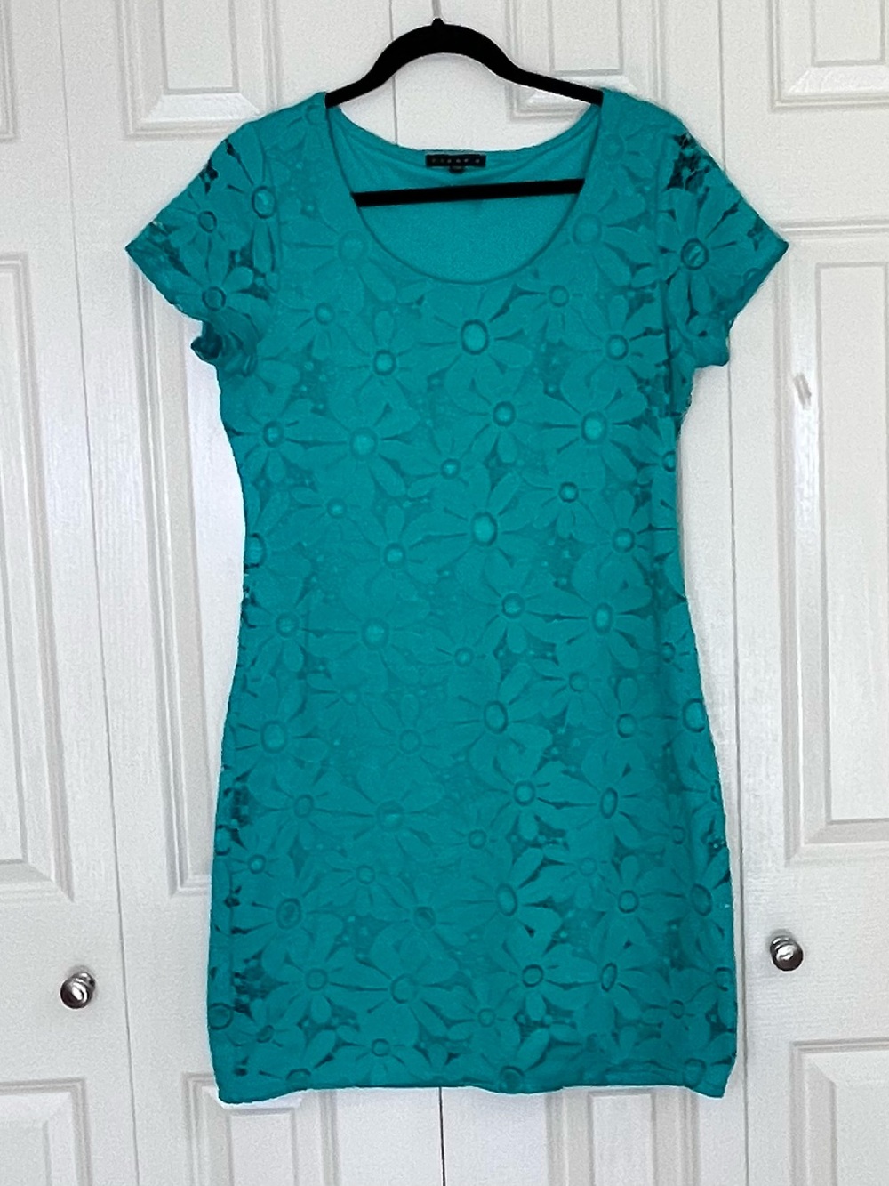 TIANA B. Short Sleeve
Bodycon Lined
Lace Mini Dress
Turquoise Green Size Large